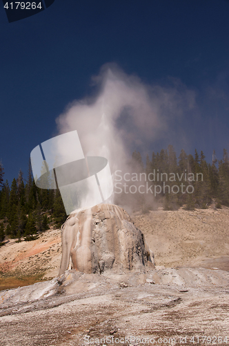 Image of Yellowstone National Park, Utah, USA