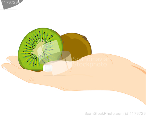 Image of Fruits kiwi in hand