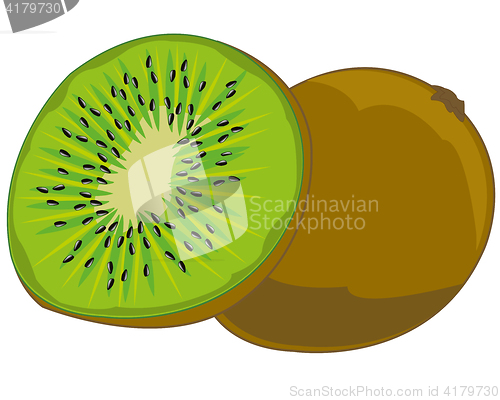 Image of Tropical fruit kiwi