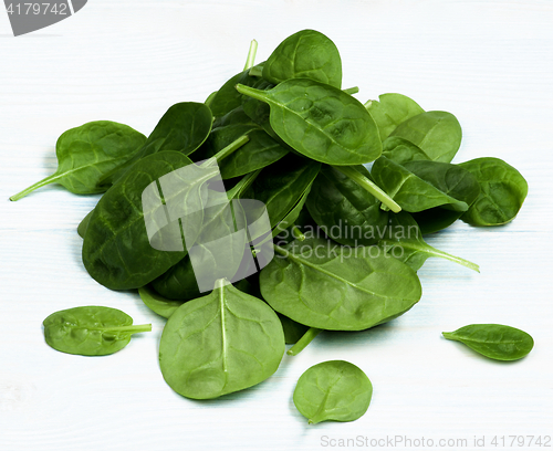 Image of Raw Spinach Leafs