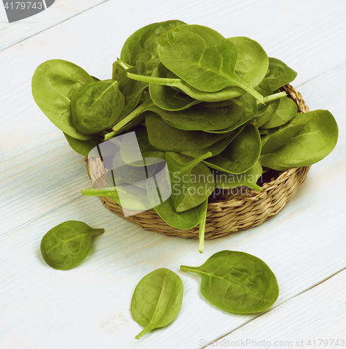Image of Raw Spinach Leafs