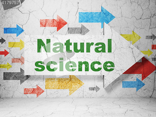 Image of Science concept: arrow with Natural Science on grunge wall background