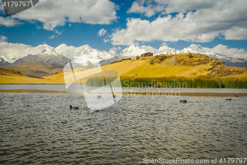 Image of Lake with ducks