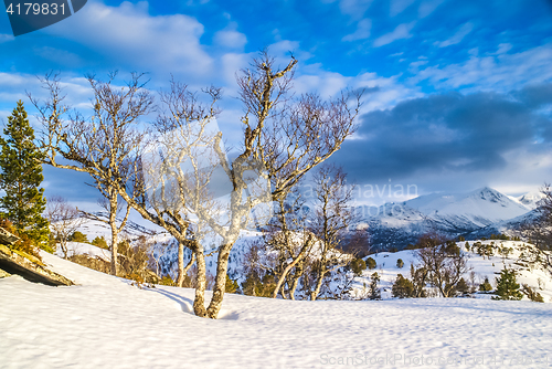 Image of Wilderness in Volda