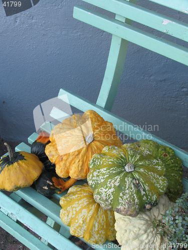 Image of Small pumpkins