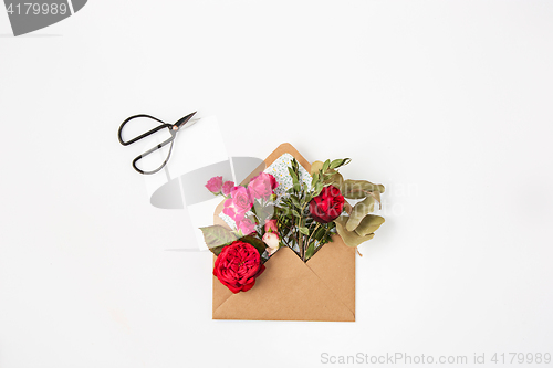 Image of Love or valentine\'s day concept. Red beautiful roses in envelopen