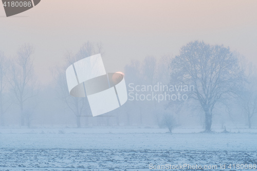 Image of Foggy landscape with snow at sunset