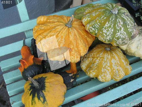 Image of Small pumpkins