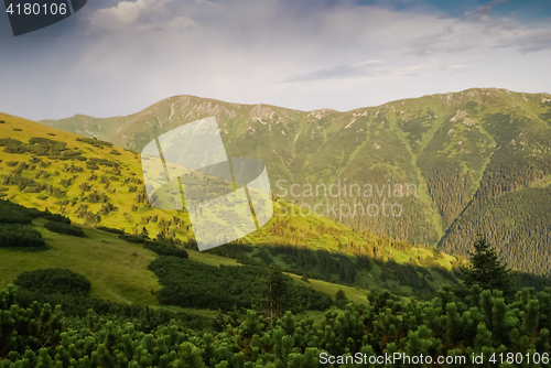 Image of Greenery in Slovakia