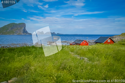 Image of Red houses and greenery