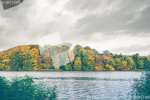 Image of Colorful autumn trees by a lake