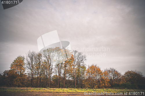 Image of Colorful trees in autumn colors