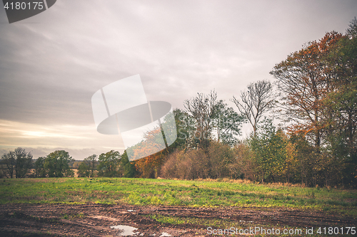 Image of Muddy wheel tracks on a field