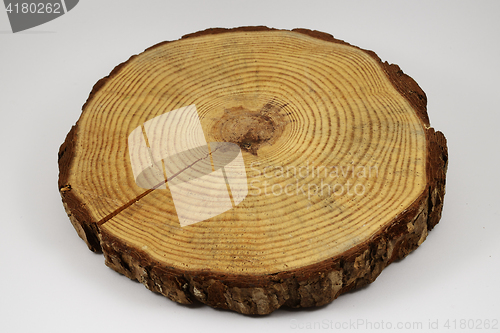 Image of wooden circle with a split cut of the log on white