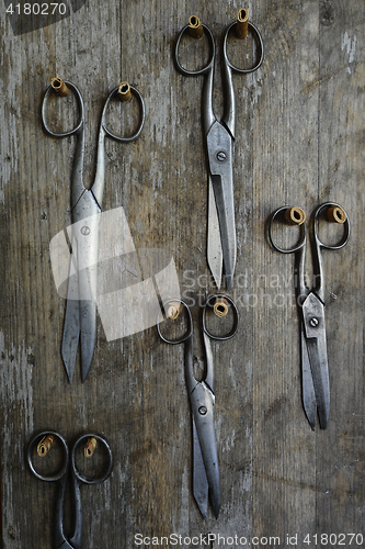 Image of five pairs of old scissors on a wooden