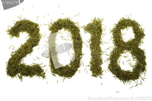 Image of 2018 inscription from Christmas needles on a white  background