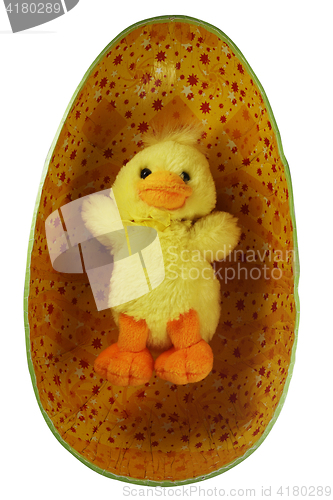 Image of yellow toy Easter chick in the egg