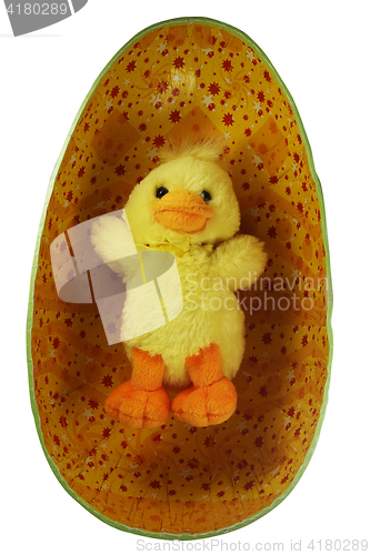 Image of yellow toy Easter chick in the egg