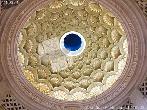 Image of Seashell Ceiling