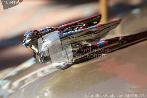 Image of Hood Ornament