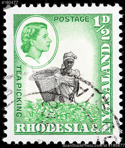 Image of Tea Picking Stamp