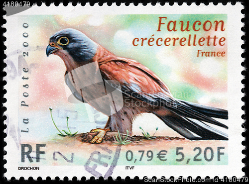 Image of Small Falcon Stamp