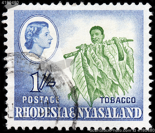 Image of Tobacco leaves stamp