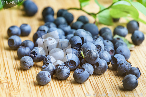 Image of Bilberry Close Up