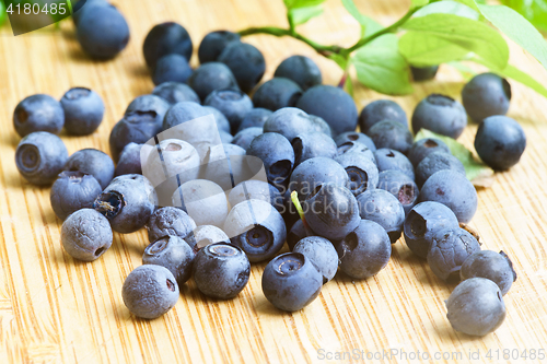 Image of Bilberry Close Up