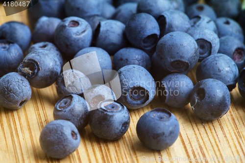 Image of Bilberry Close Up