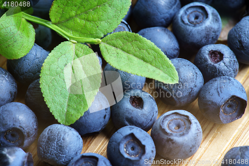 Image of Bilberry Close Up