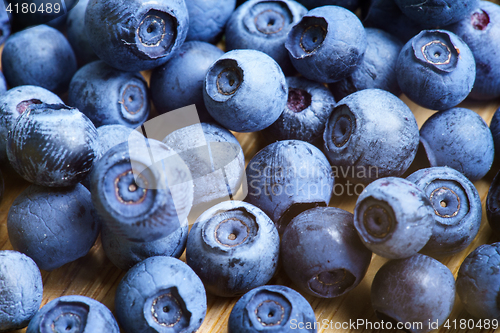 Image of Bilberry Close Up