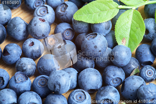 Image of Bilberry Close Up