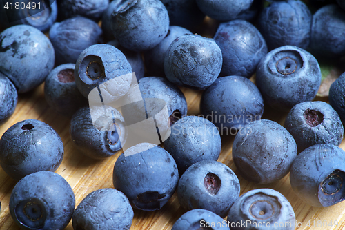 Image of Bilberry Close Up