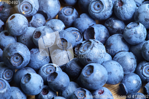 Image of Bilberry Close Up