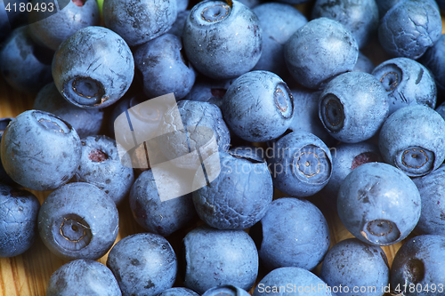 Image of Bilberry Close Up