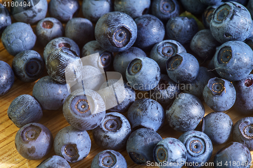 Image of Bilberry Close Up