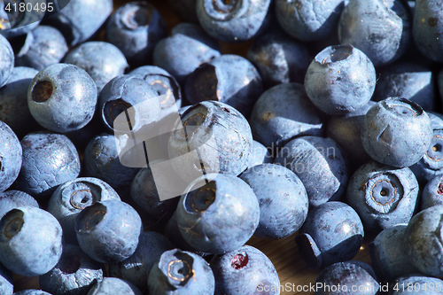 Image of Bilberry Close Up