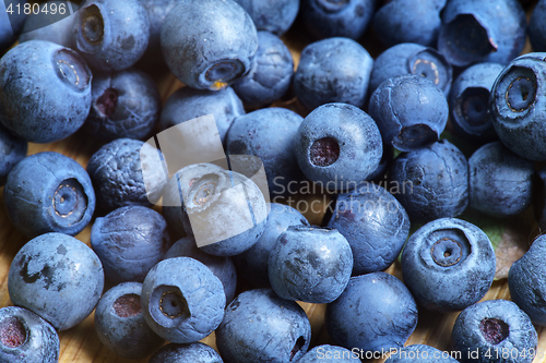Image of Bilberry Close Up
