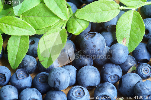 Image of Bilberry Close Up