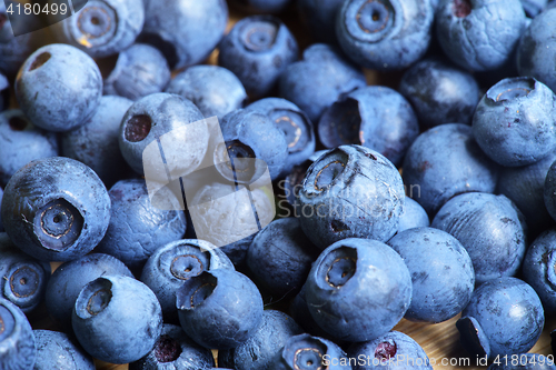 Image of Bilberry Close Up