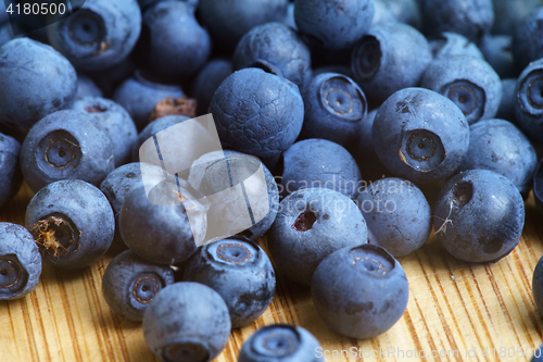 Image of Bilberry Close Up