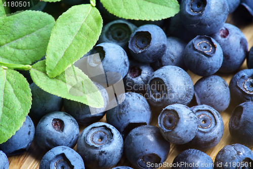 Image of Bilberry Close Up