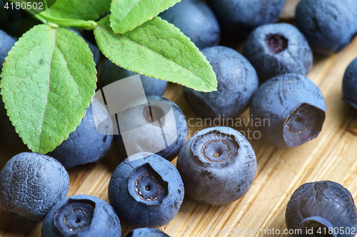 Image of Bilberry Close Up