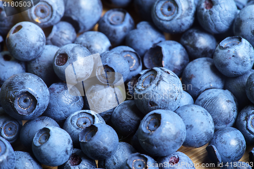 Image of Bilberry Close Up