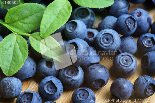 Image of Bilberry Close Up