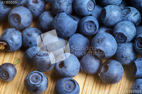 Image of Bilberry Close Up