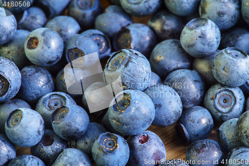 Image of Bilberry Close Up