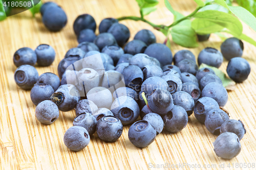 Image of Bilberry Close Up