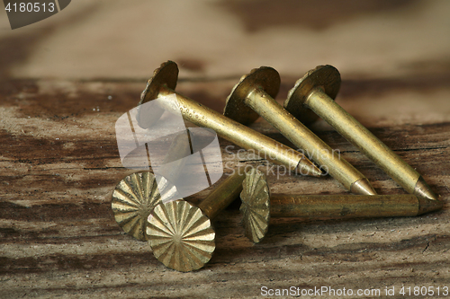 Image of  Upholstery nails macro shot